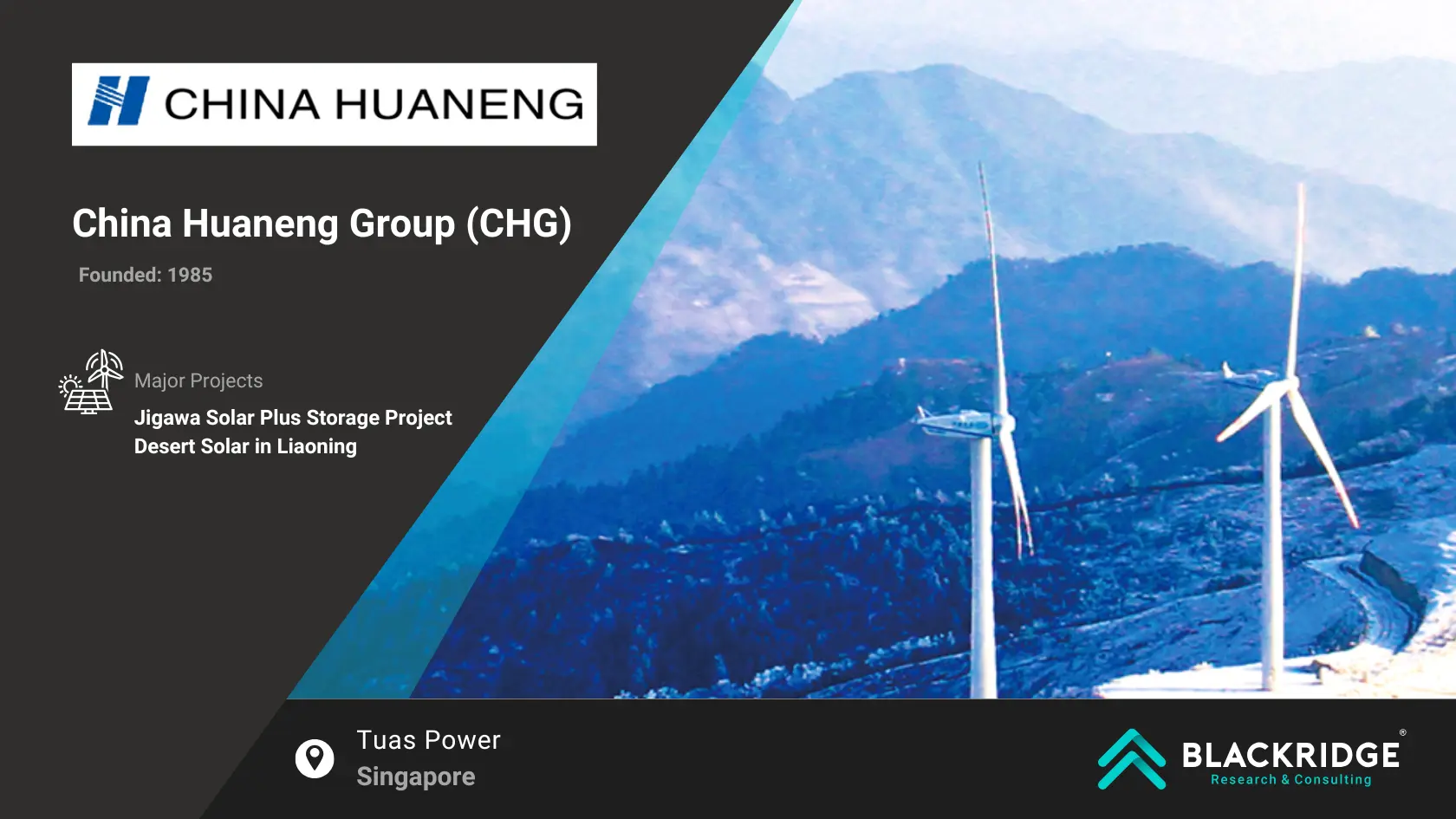 largest renewable energy companies